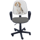 ANTARA DOG COLOR ANTARA DOG COLOR