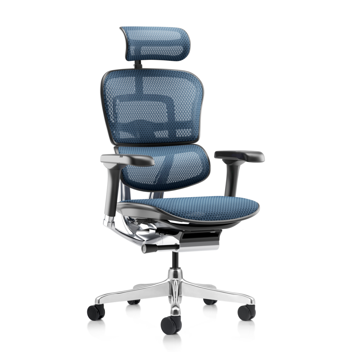Ergohuman NEW Colors - Ergohuman Blue